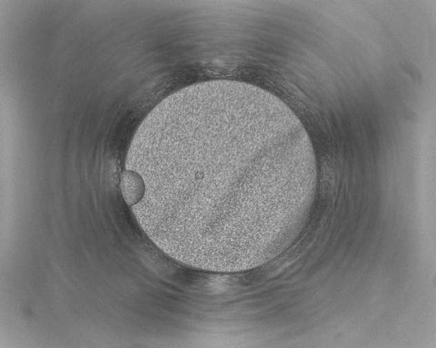 X0000115520130200912040936