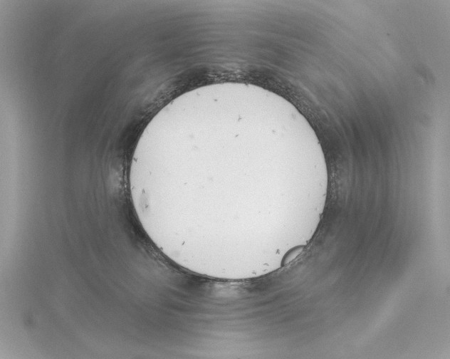 X0000115520134200912040936