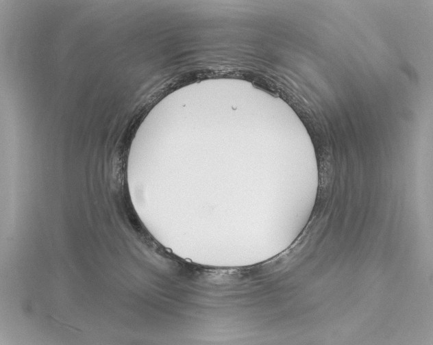 X0000115520136200912040936