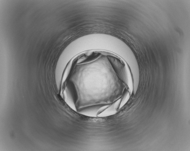 X0000115520137200912040936