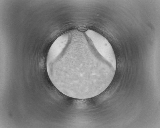 X0000115520139200912040936