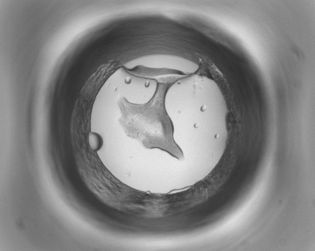 X0000115520143200912040936