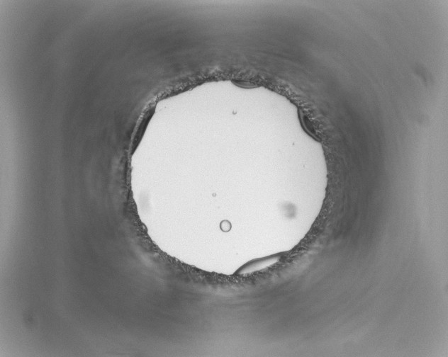 X0000115520144200912040936