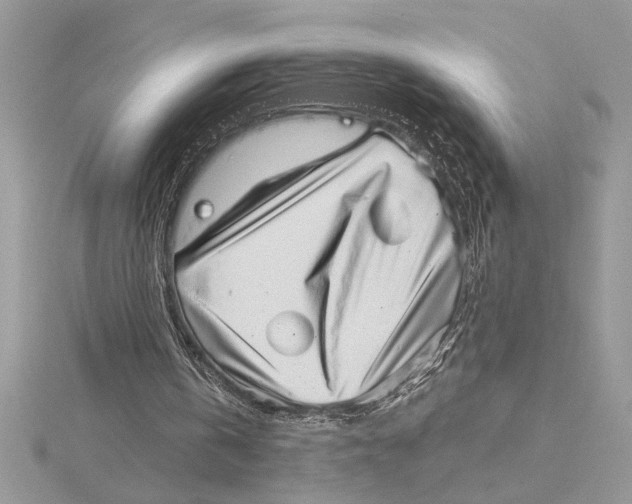 X0000115520146200912040936