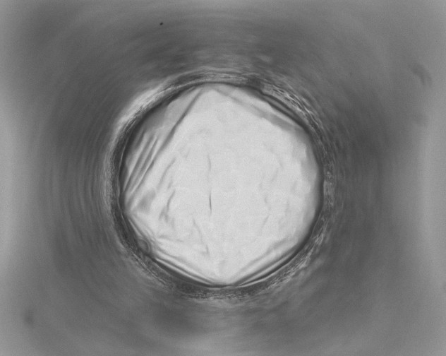 X0000115520149200912040936