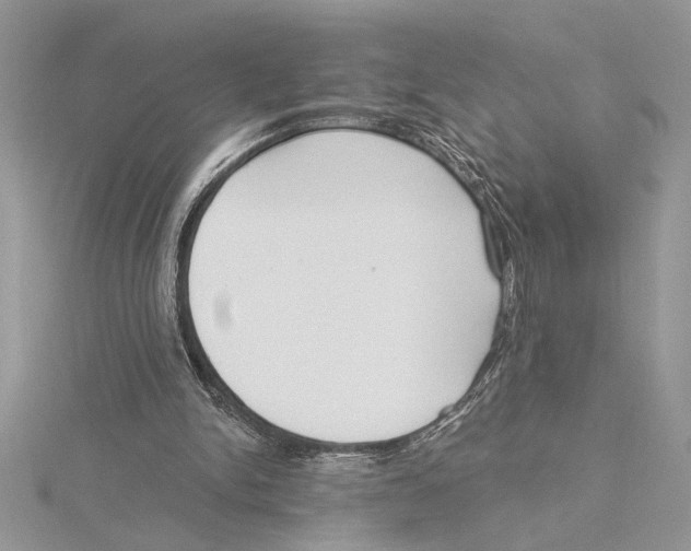 X0000115520150200912040936