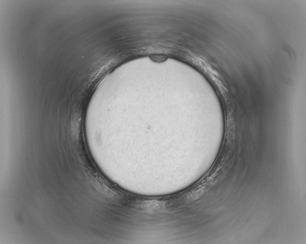 X0000115520153200912040936