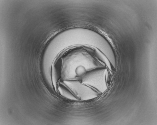 X0000115520154200912040936