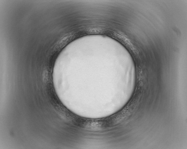 X0000115520161200912040936