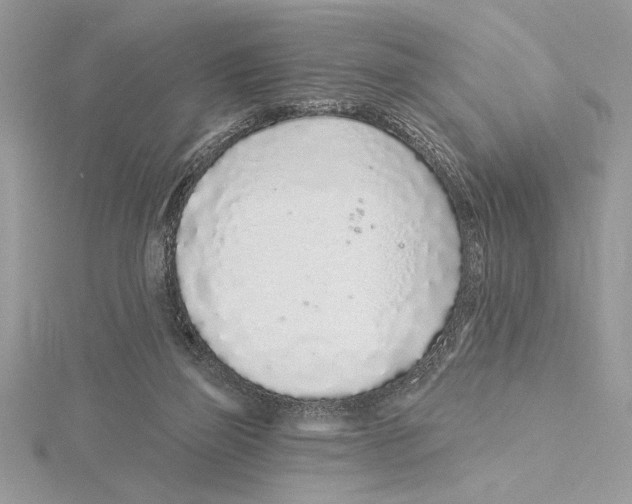 X0000115520165200912040936