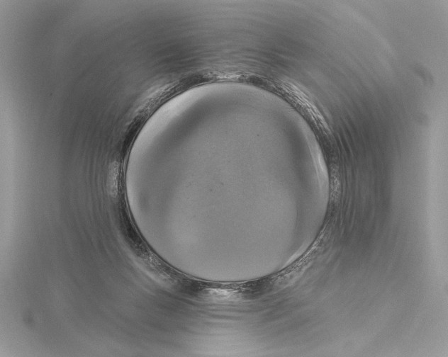 X0000115520167200912040936