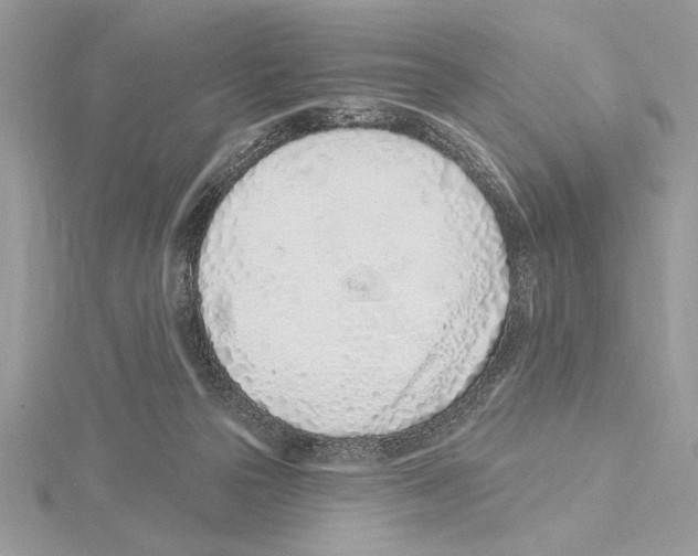 X0000115520169200912040936