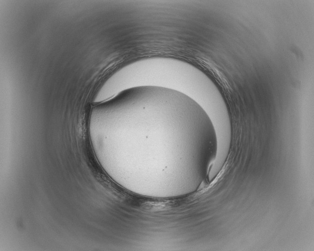 X0000115520170200912040936