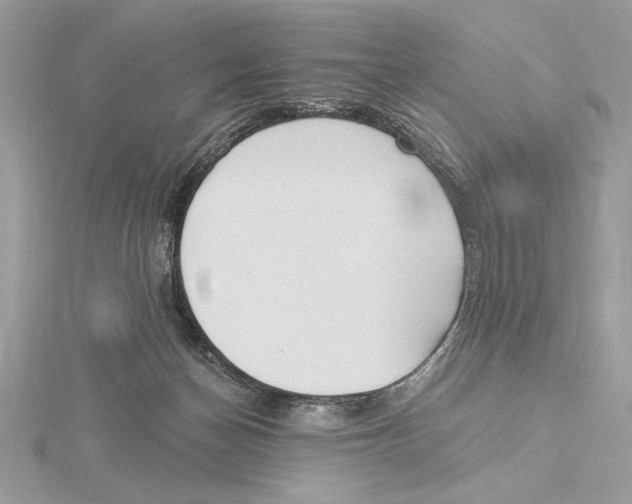 X0000115520174200912040936