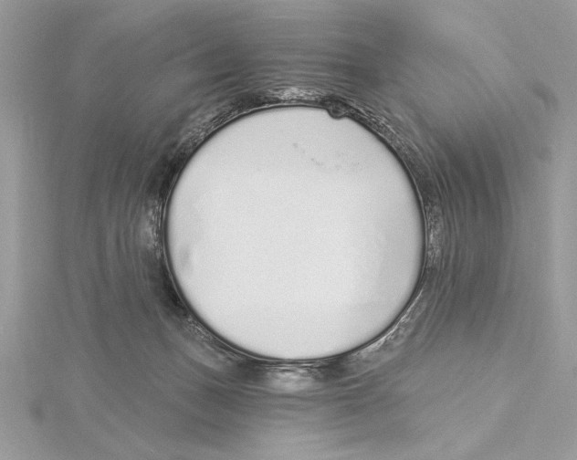 X0000115520175200912040936