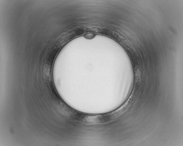 X0000115520178200912040936