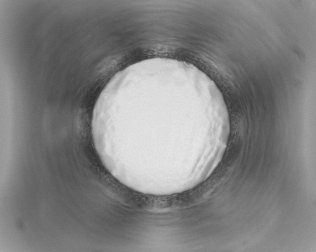 X0000115520181200912040936