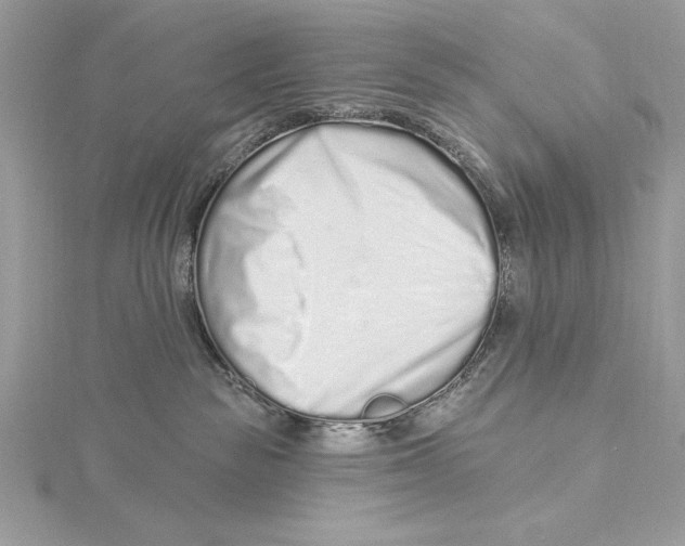 X0000115520189200912040936