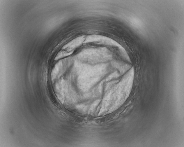 X0000115520194200912040936