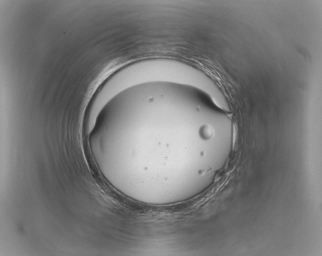 X0000115520195200912040936