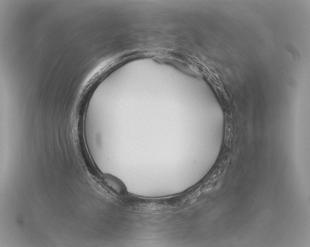 X0000115520197200912040936