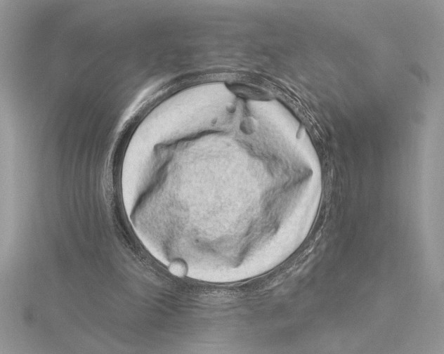 X0000115520198200912040936