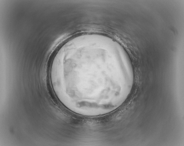 X0000115520199200912040936