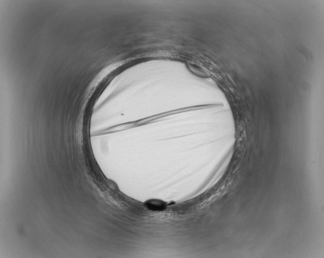 X0000115520200200912040936