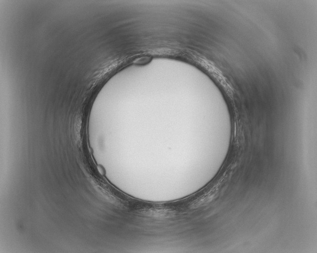 X0000115520201200912040936