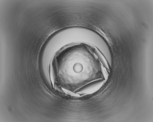 X0000115520203200912040936