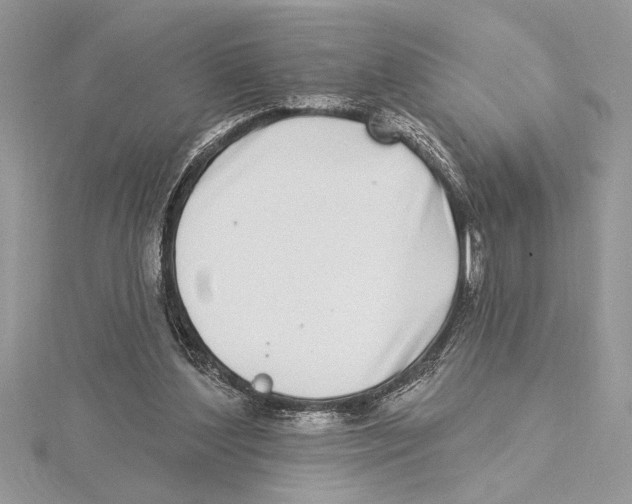 X0000115520204200912040935