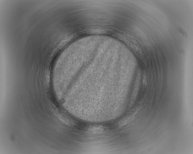 X0000115520206200912040935