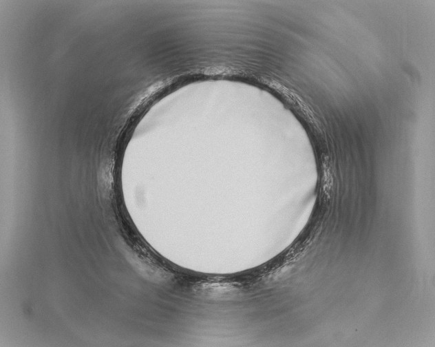 X0000115520208200912040935