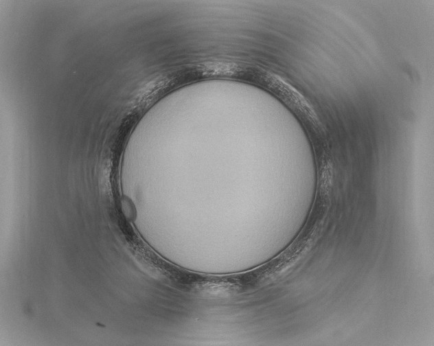 X0000115520209200912040935