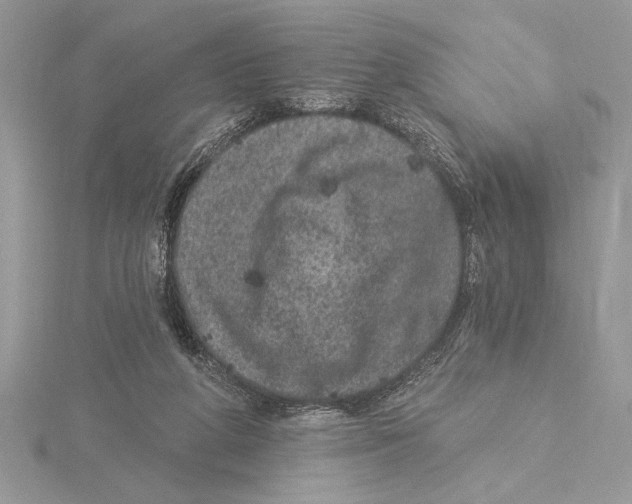 X0000115520210200912040935