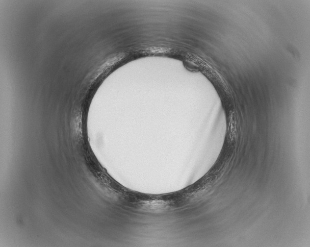 X0000115520212200912040935