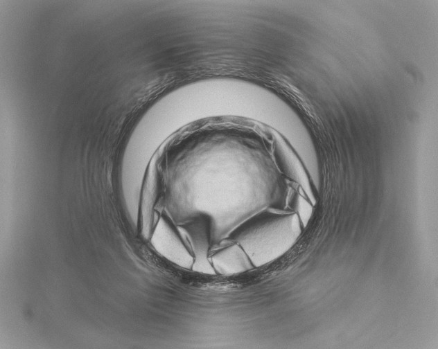 X0000115520213200912040935