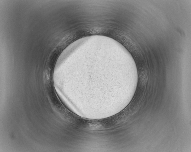 X0000115520214200912040935