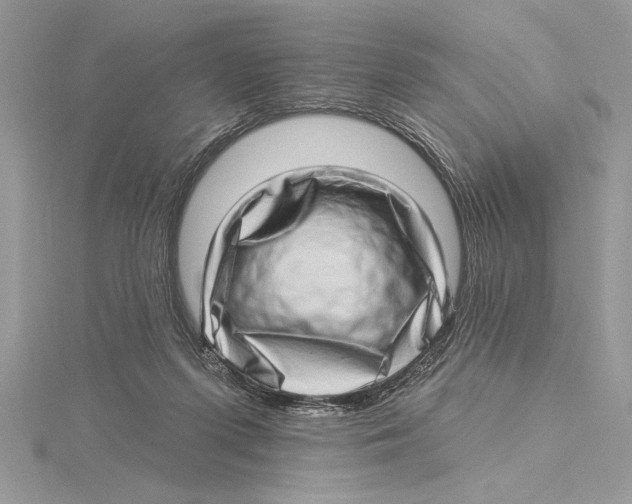 X0000115520215200912040935