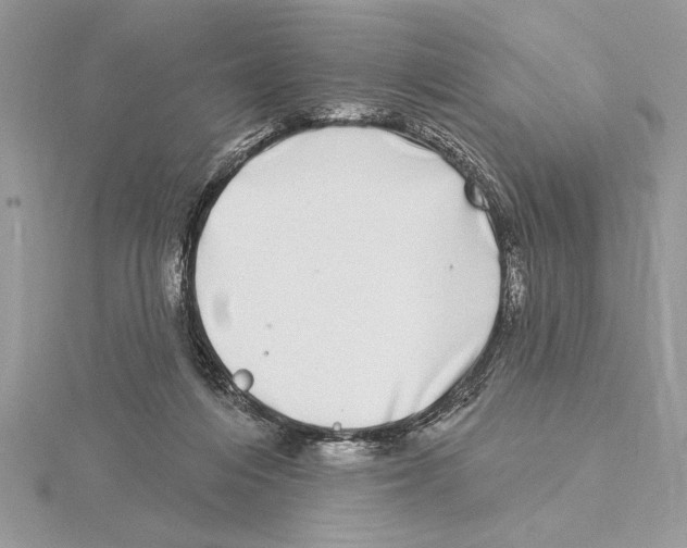 X0000115520216200912040935