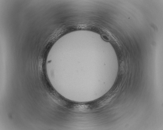 X0000115520217200912040935