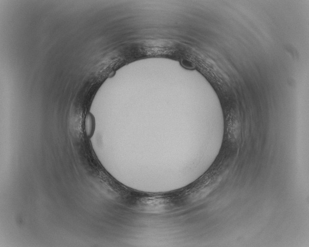 X0000115520219200912040935