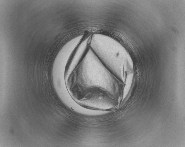 X0000115520221200912040935