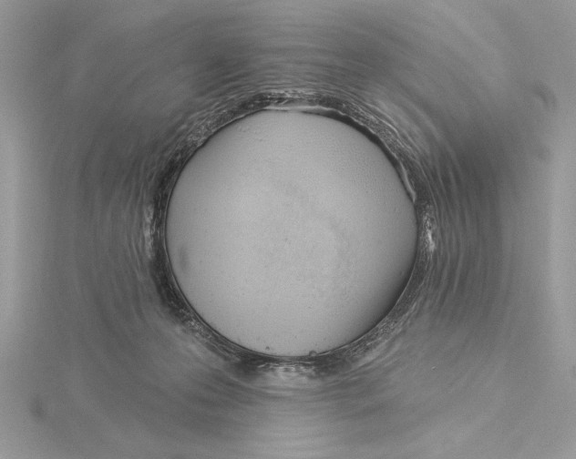 X0000115520223200912040935