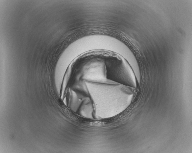 X0000115520225200912040935