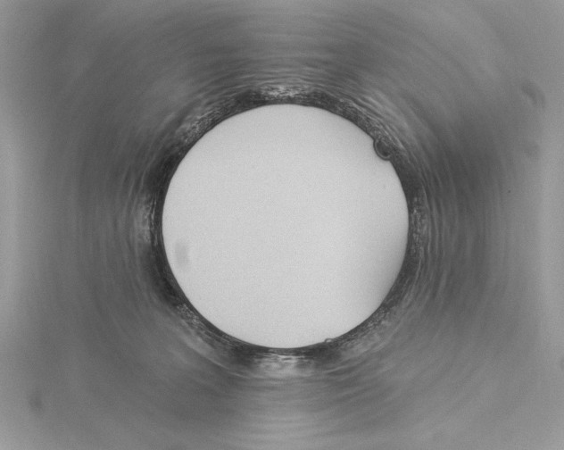 X0000115520227200912040935