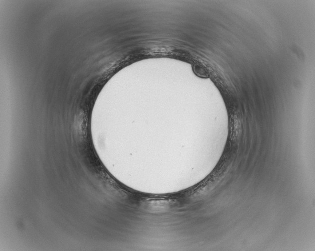 X0000115520228200912040935