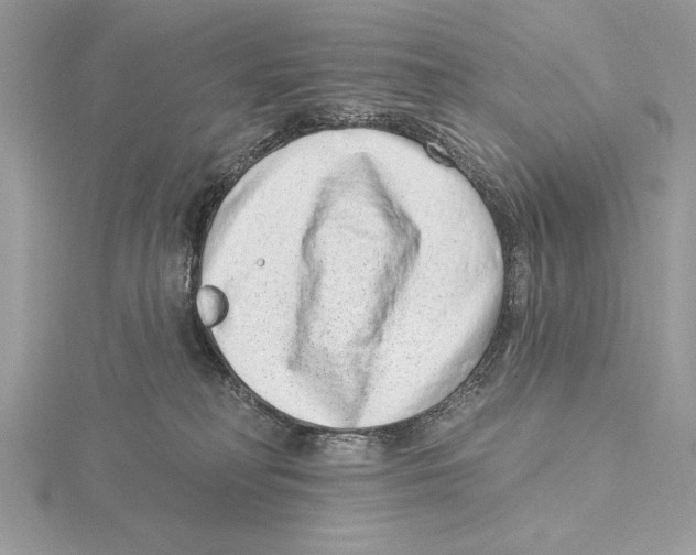 X0000115520230200912040935