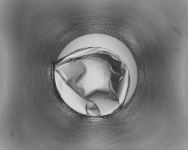 X0000115520233200912040935