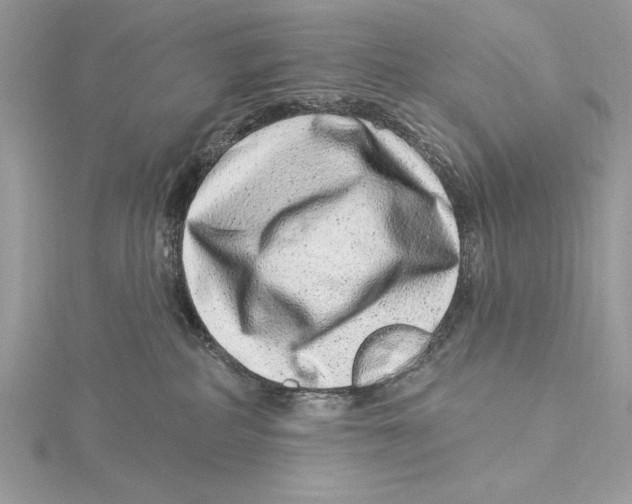 X0000115520234200912040935